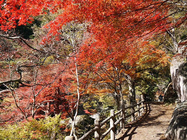 17年 昇仙峡の紅葉情報 昇仙峡観光協会